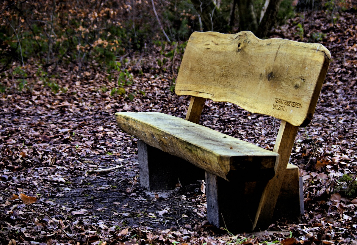 Tristesse im Uelzener Forst 4.jpg