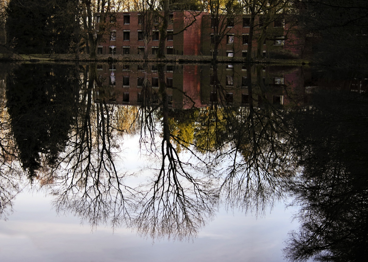 Tristesse im Uelzener Forst 5.jpg