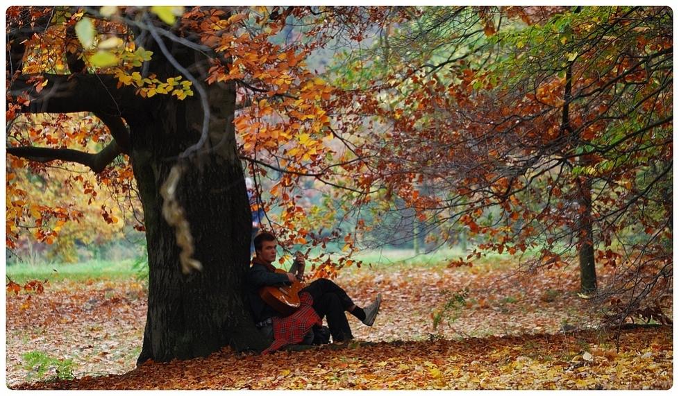 "Troubadour"

Komponist und Sänger höfischer mittelalterlicher Lieder
Eingefangen bei einem Herbstspaziergang im
" Schloßpark Berlin - Charlottenburg 