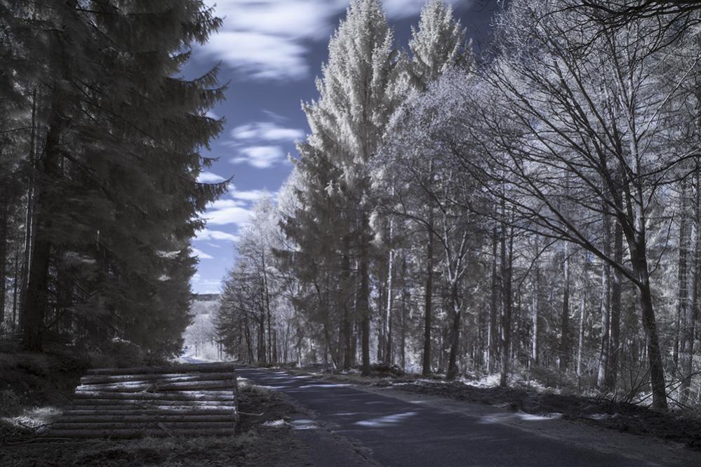 Trupacher Heide