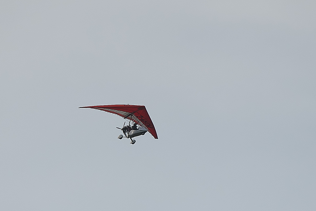 TSF 2020 - 082.jpg