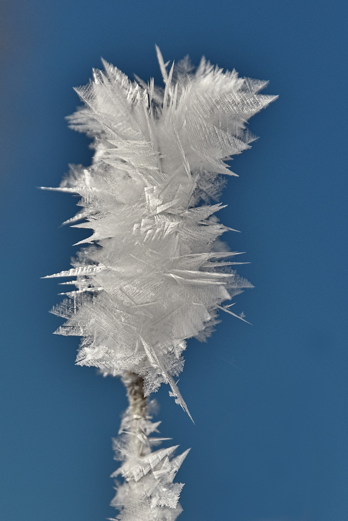 TSF 2021 030.jpg