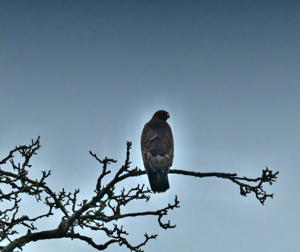 TSF 2021 -258c.jpg