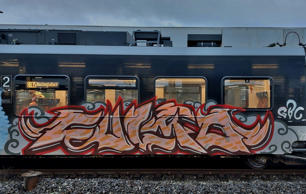 TSF 2023 - 03.jpg
