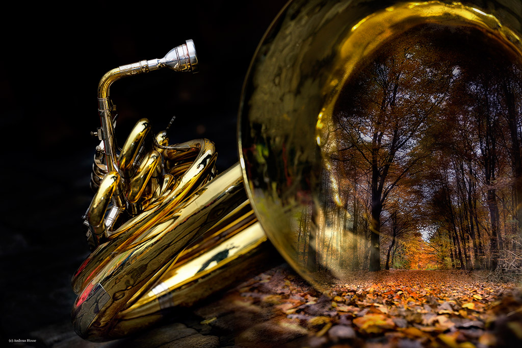 Tuba DSC7117 248 Wald
