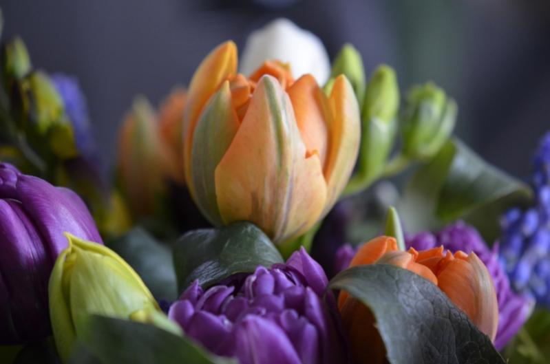 Tulpenstrauss