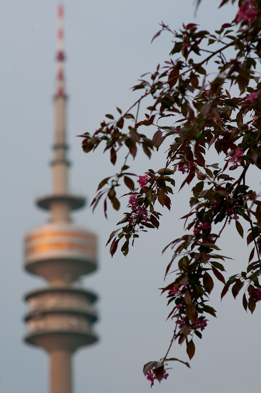 Turm