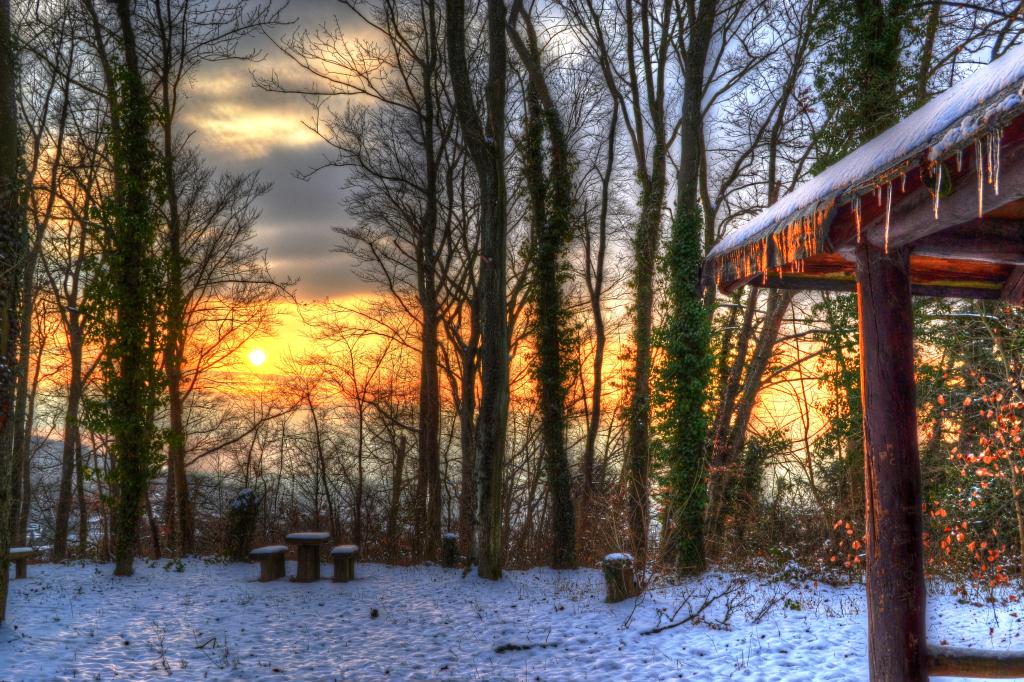 Turmberg Karlsruhe 2