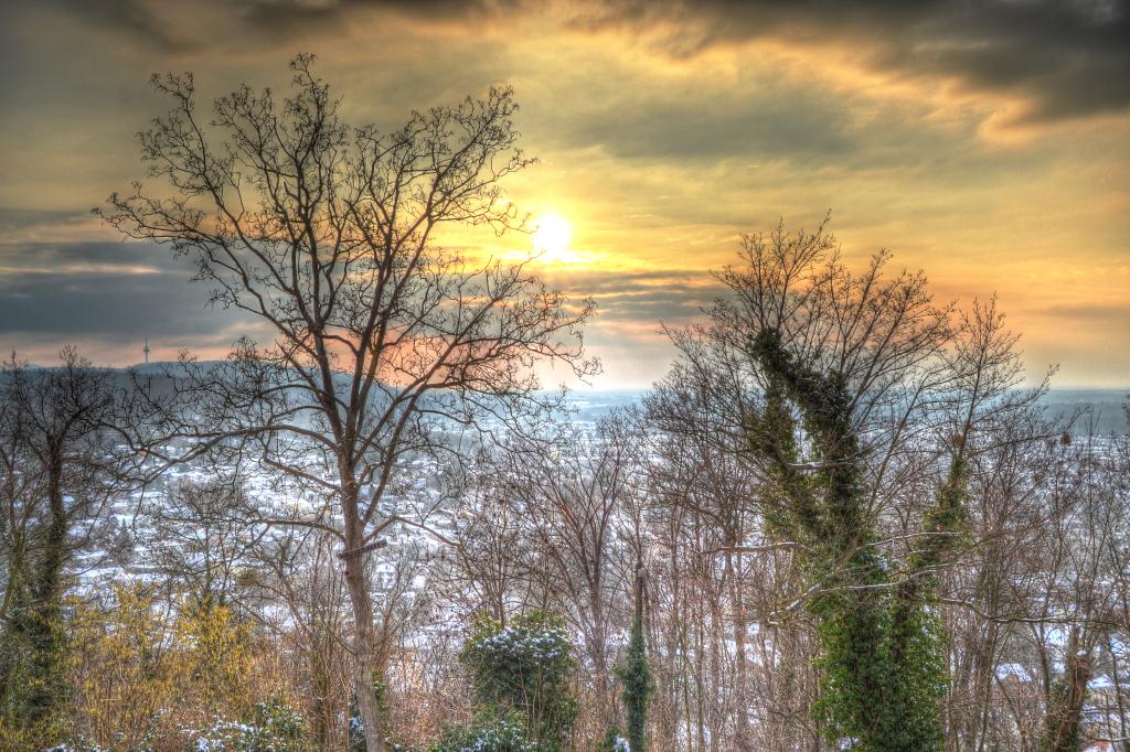 Turmberg Karlsruhe 3