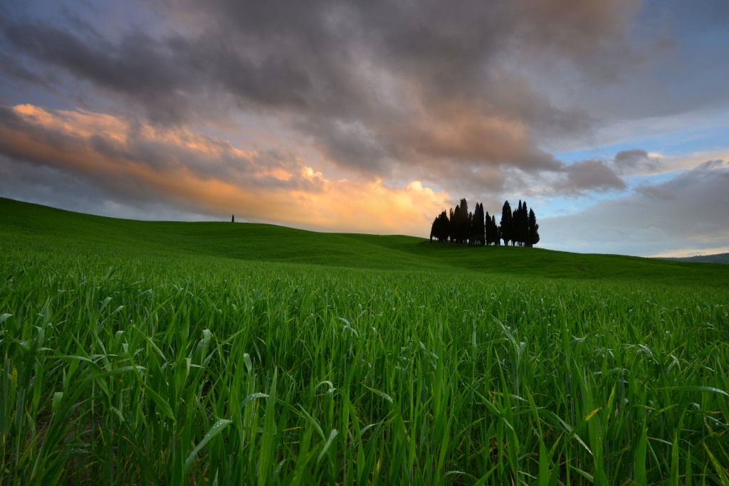 Tuscanny