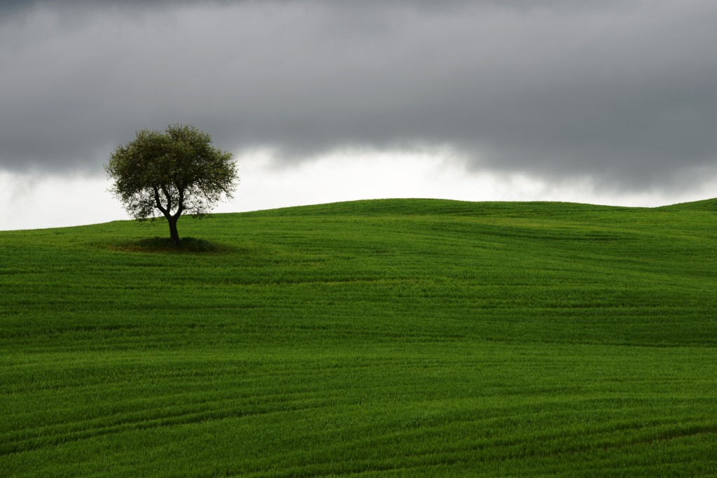Tuscany