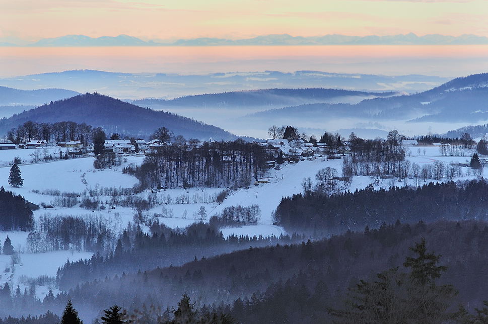 Typisch Bayer. Wald