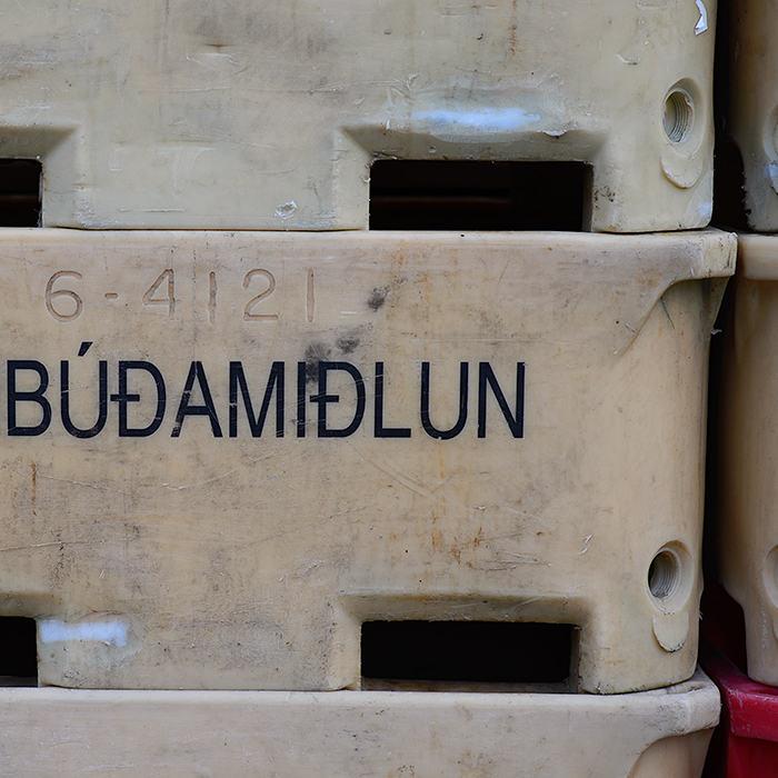 Typo Budamidlun
