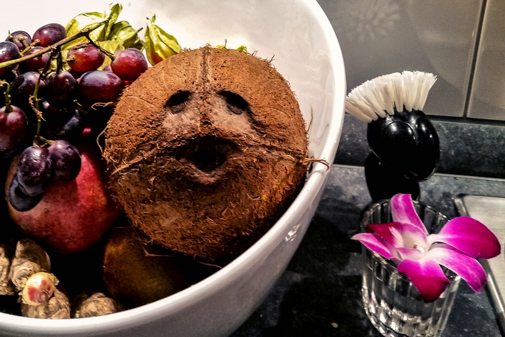 TZ Coco