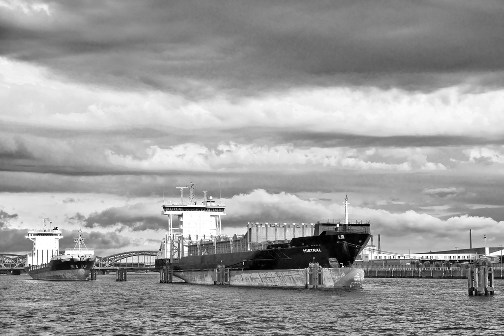 TZ DSC 1590