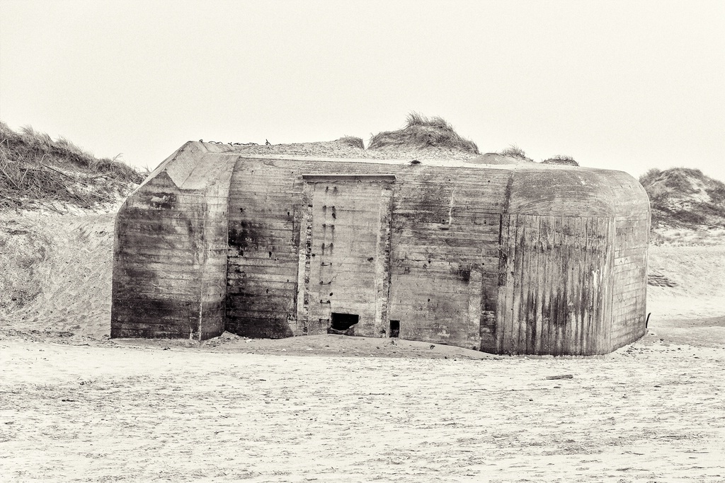 TZ DSC 2773 2