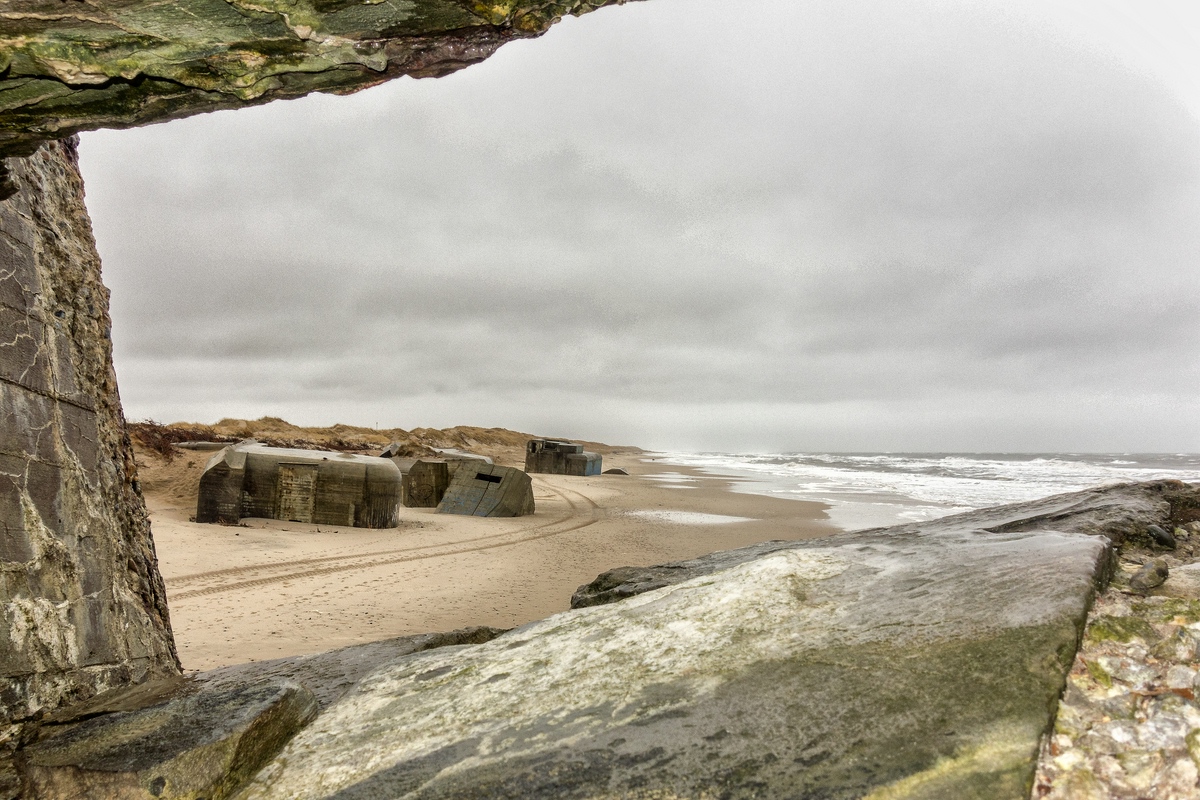 TZ DSC00134 A
