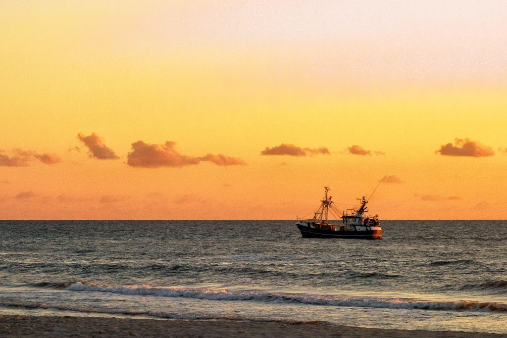TZ DSC00320 A