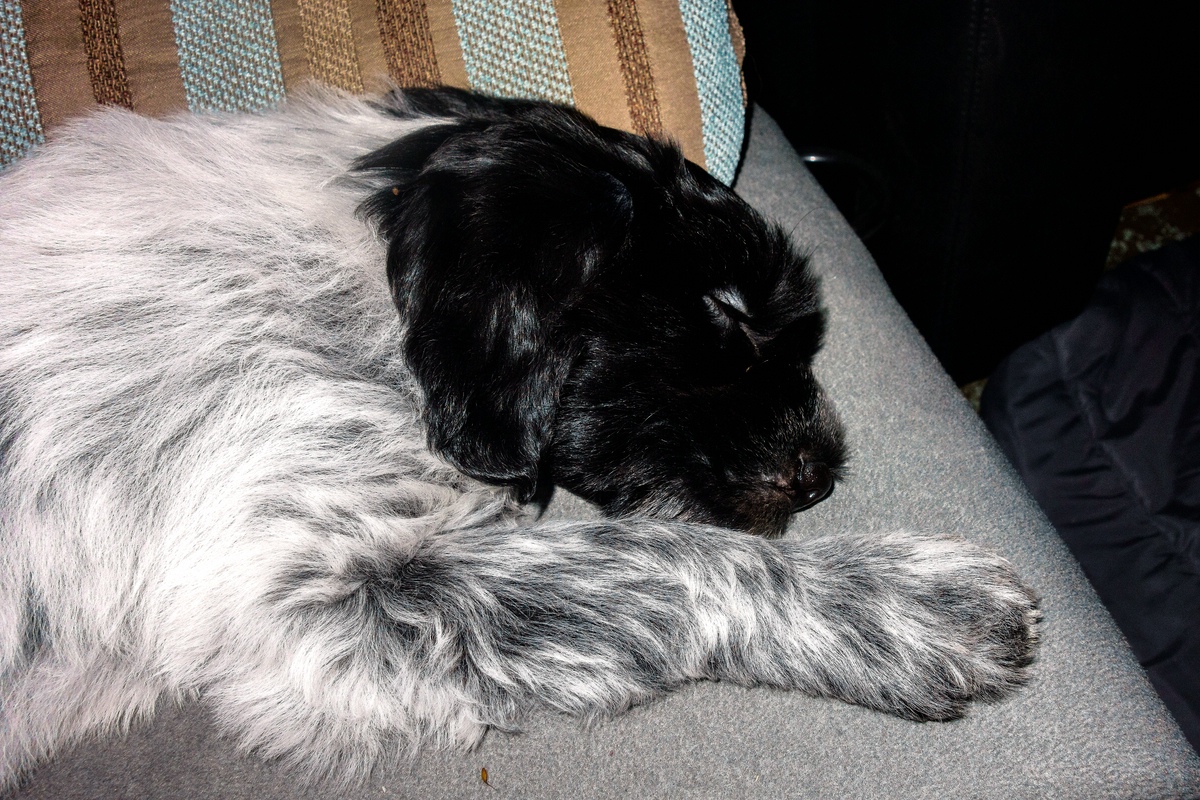 TZ DSC01413 A