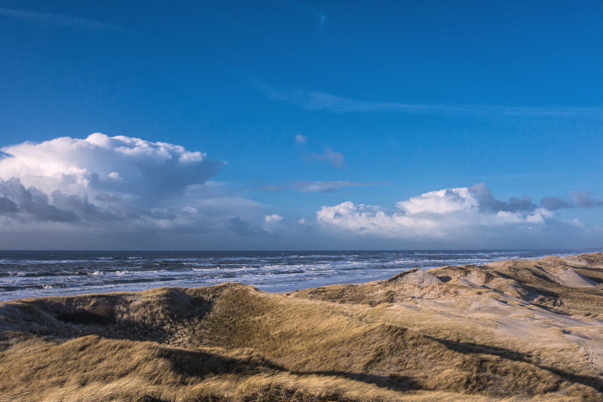 TZ DSC01650 B
Februar 2018