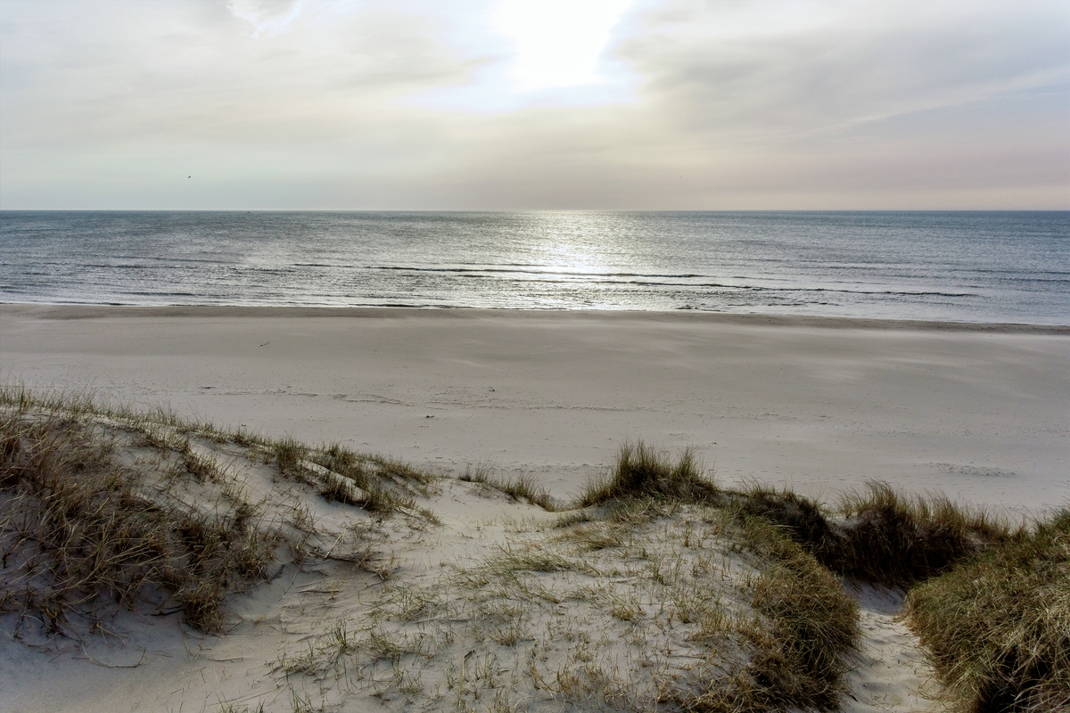 TZ DSC02133 A