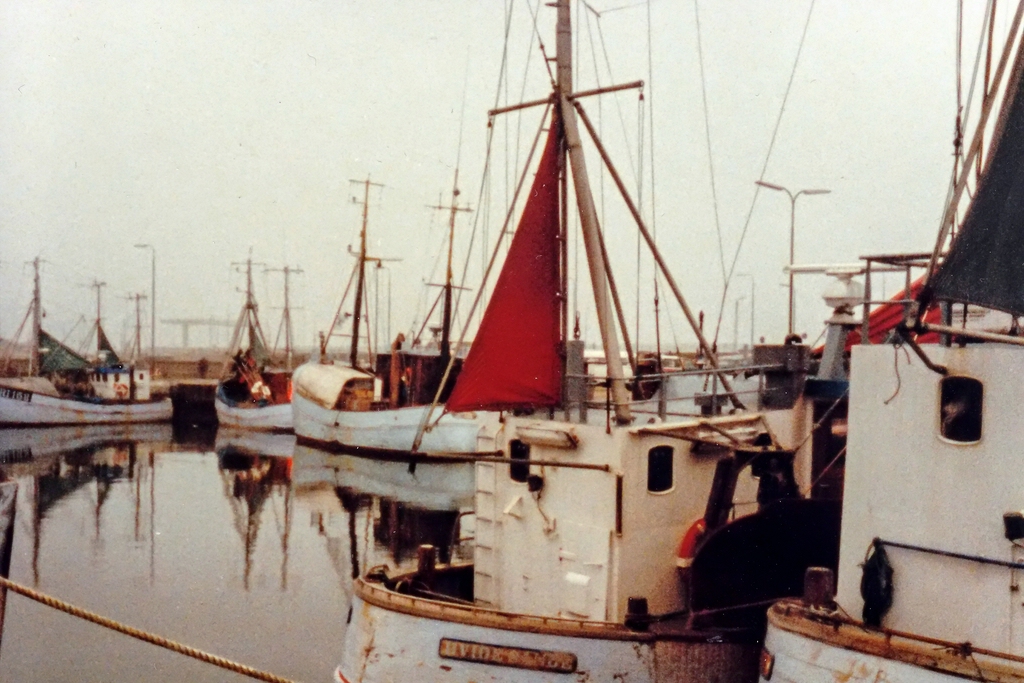 TZ IMG 0033