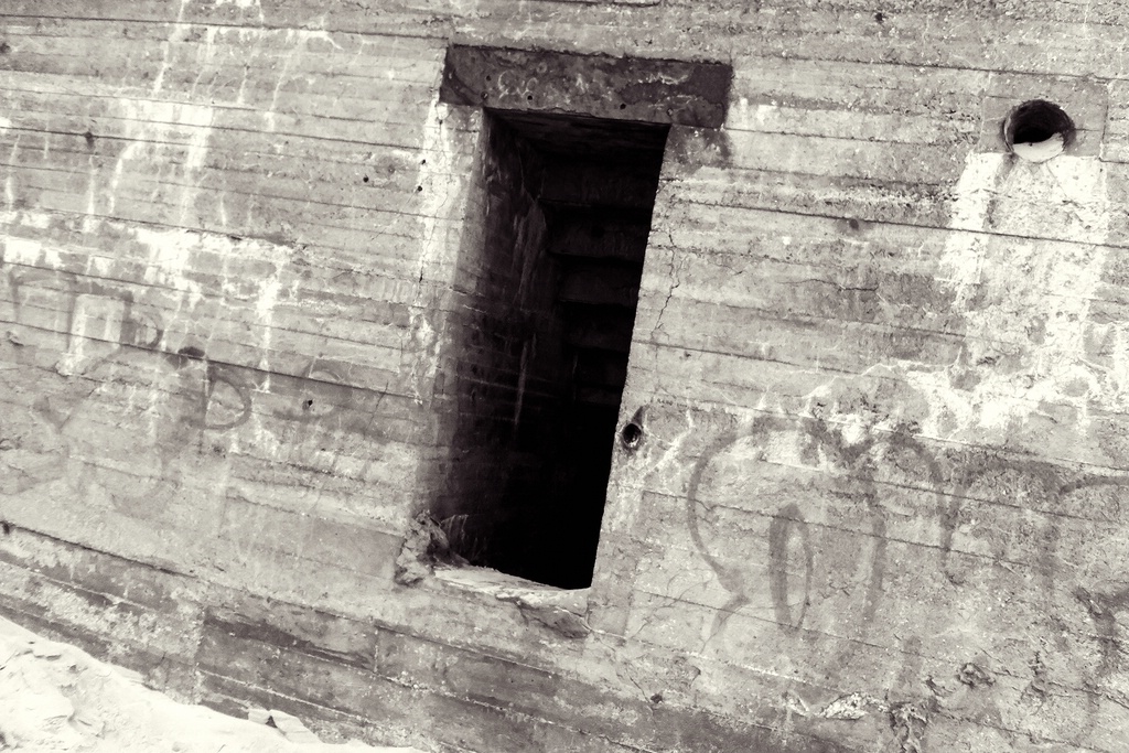 TZ IMG 0069 2