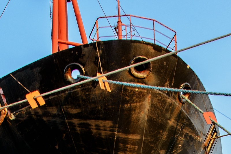 TZ Rattenstopper