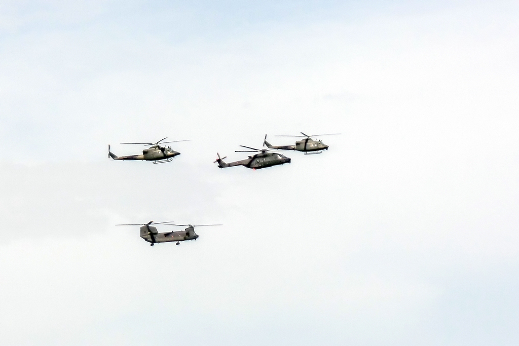 TZ SAM 0356