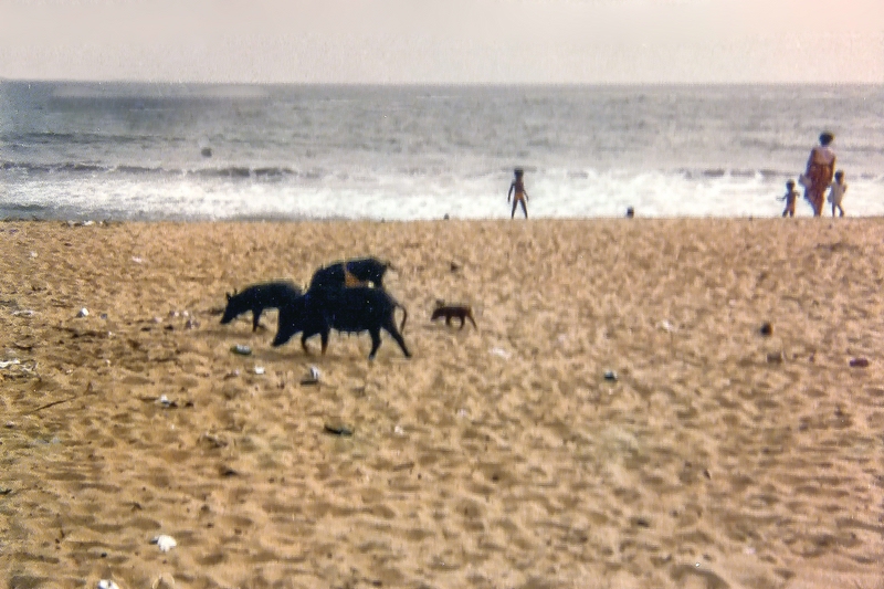 TZ Strand 1