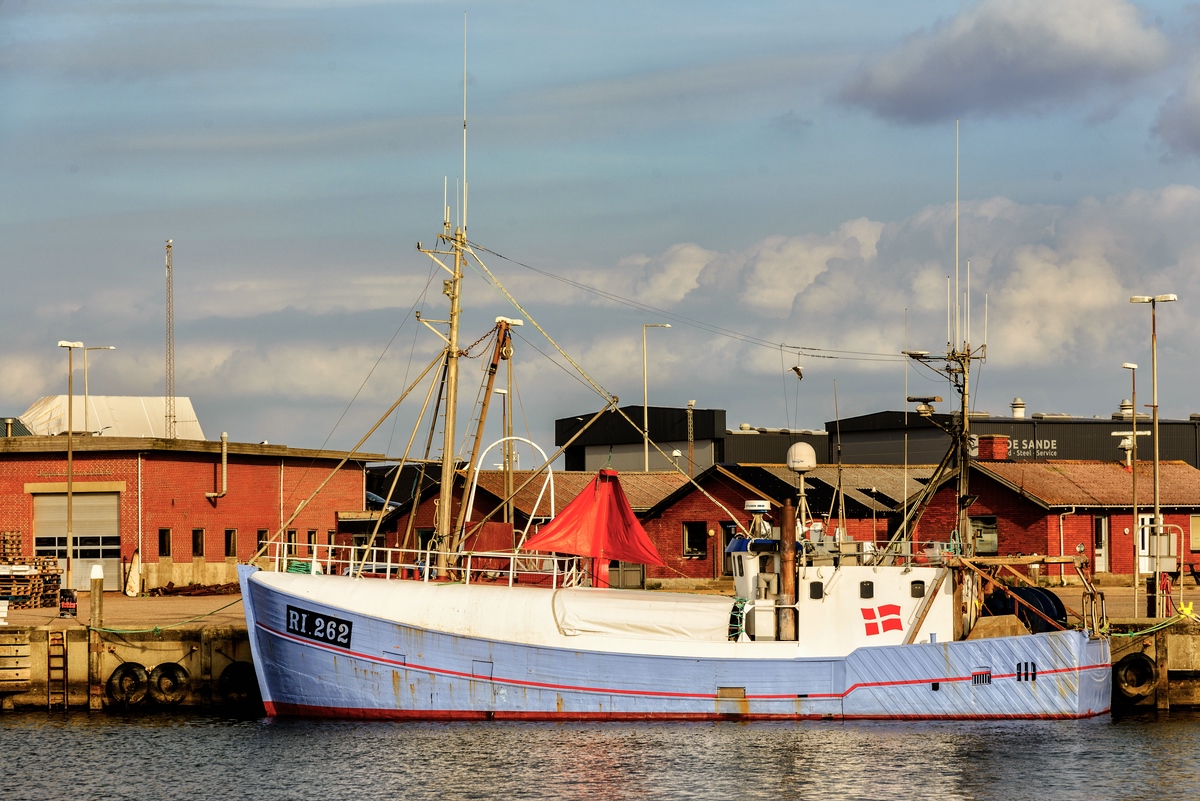 TZ ZIM 0337