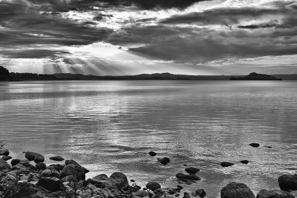 TZ ZIM 2443 SW