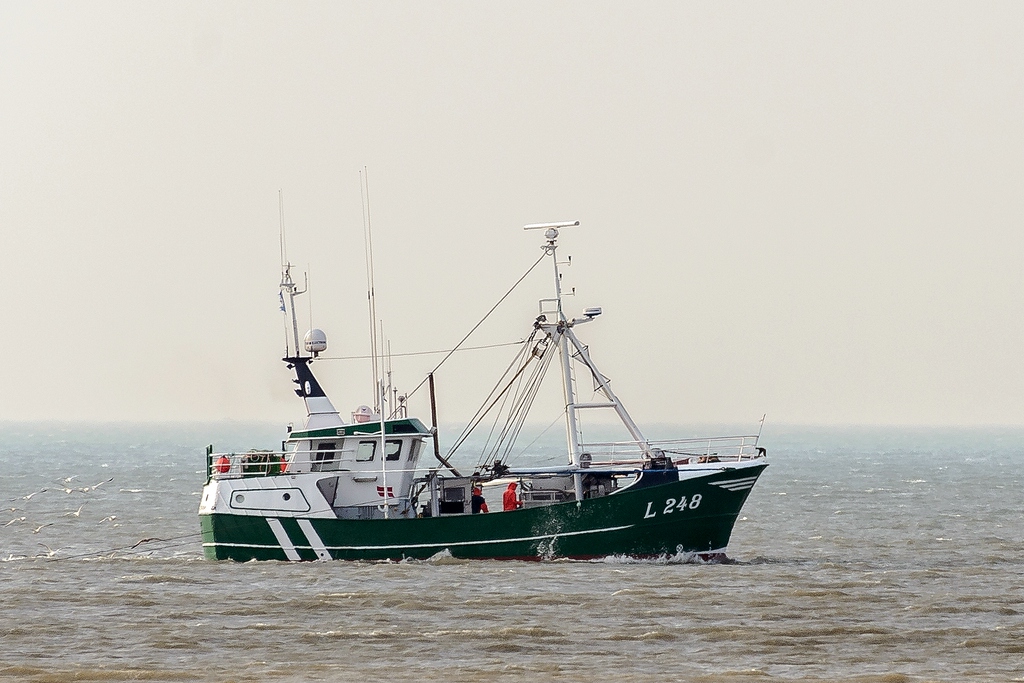 TZ ZIM 5367