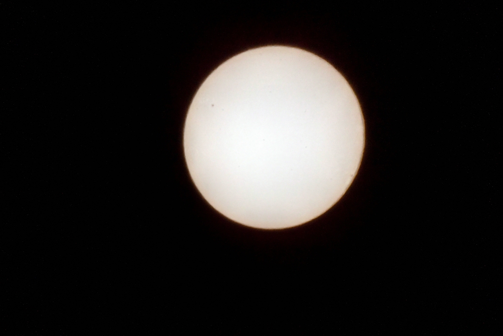 TZ ZIM 5546