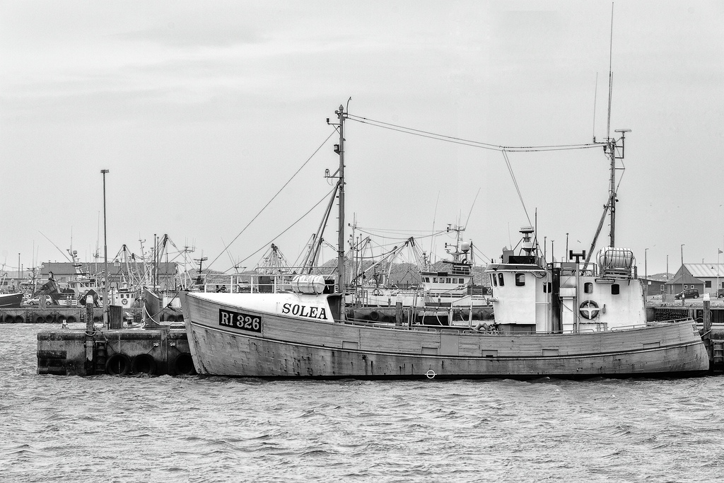 TZ ZIM 6052