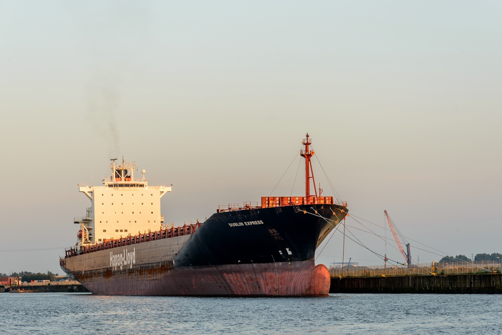 TZ ZIM 6649