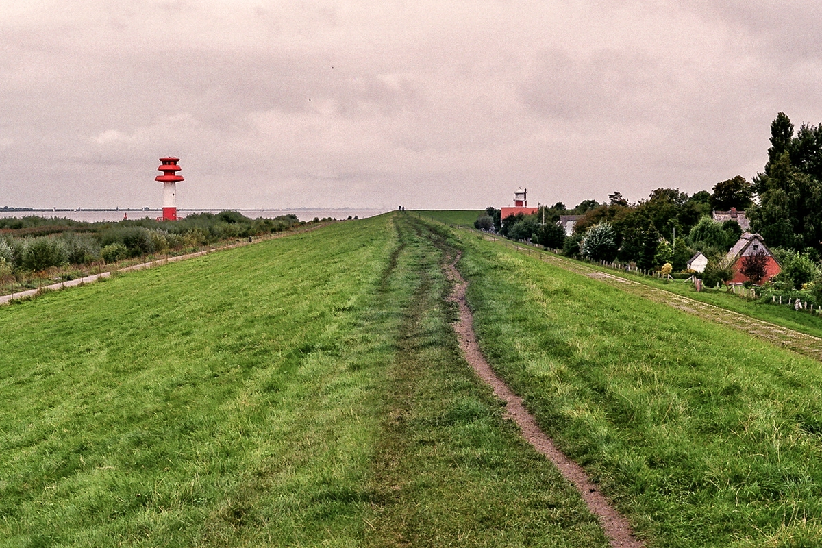 TZ_006_8_A.jpg