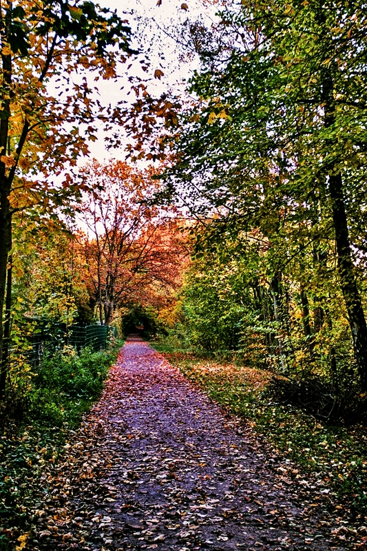 TZ_024_26_A.jpg