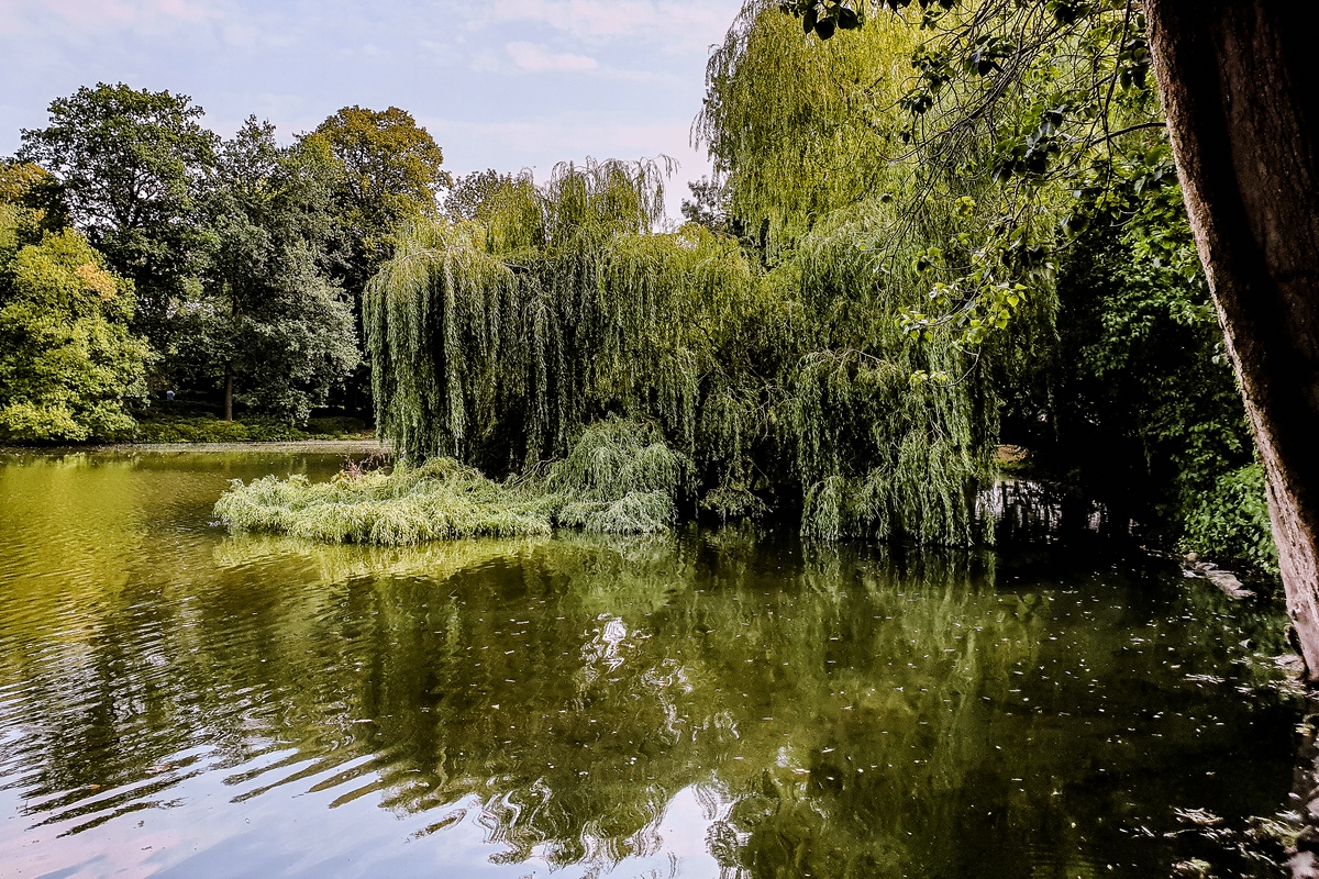 TZ_2019-08-27_12-33.jpg