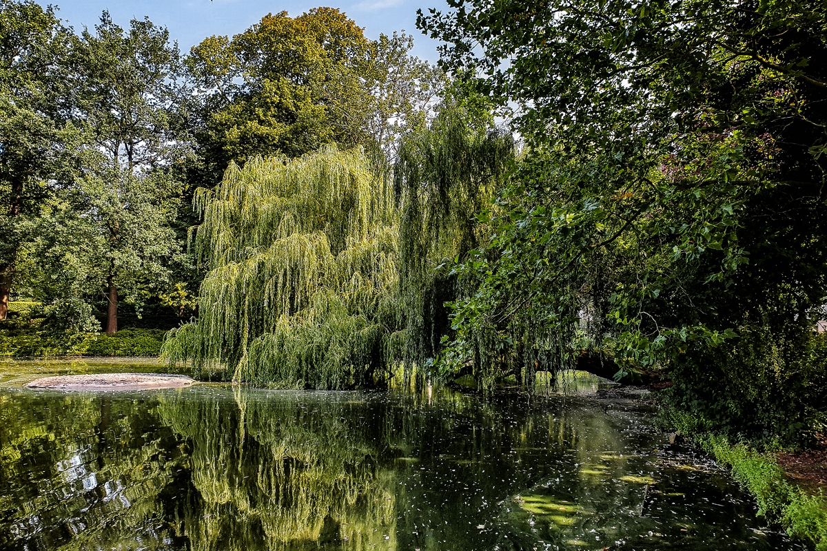 TZ_2019-08-27_12-34.jpg