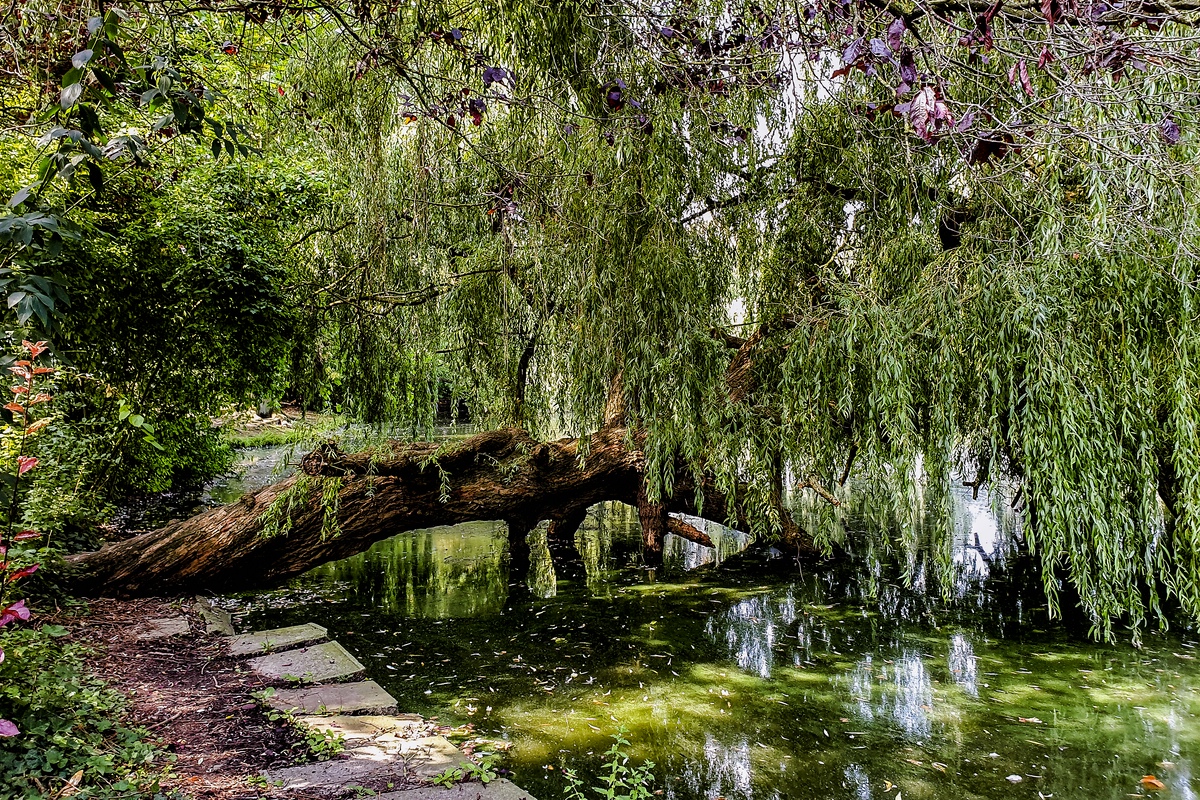 TZ_2019-08-27_12-36.jpg