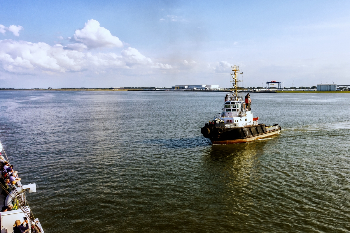 TZ_DSC00192_A.jpg