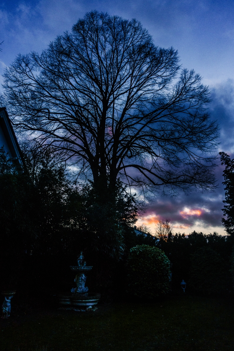 TZ_DSC01366_B.jpg