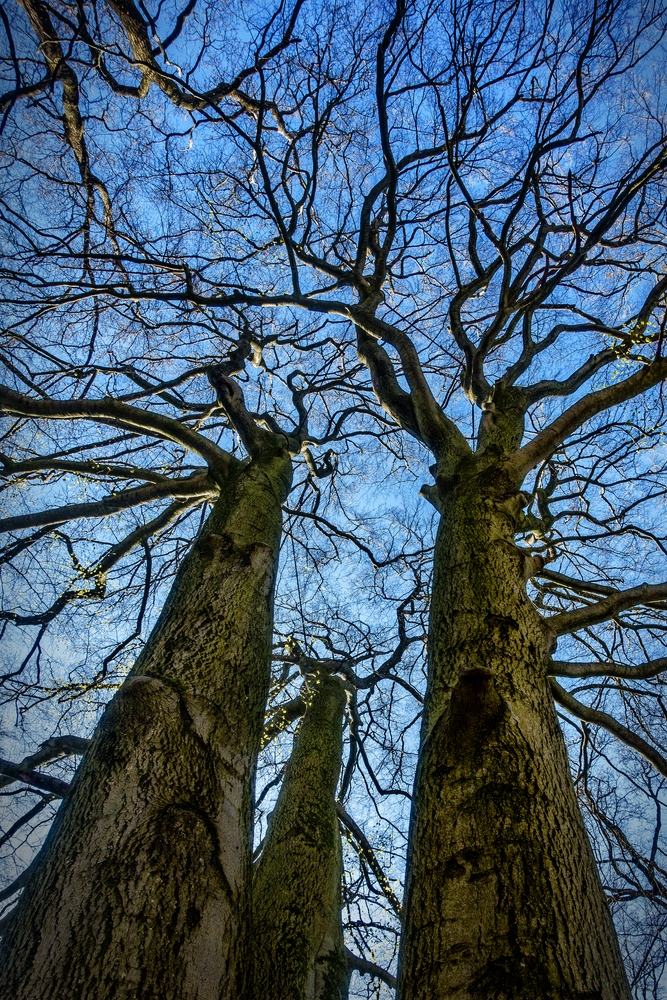 TZ_DSC01402_B.jpg