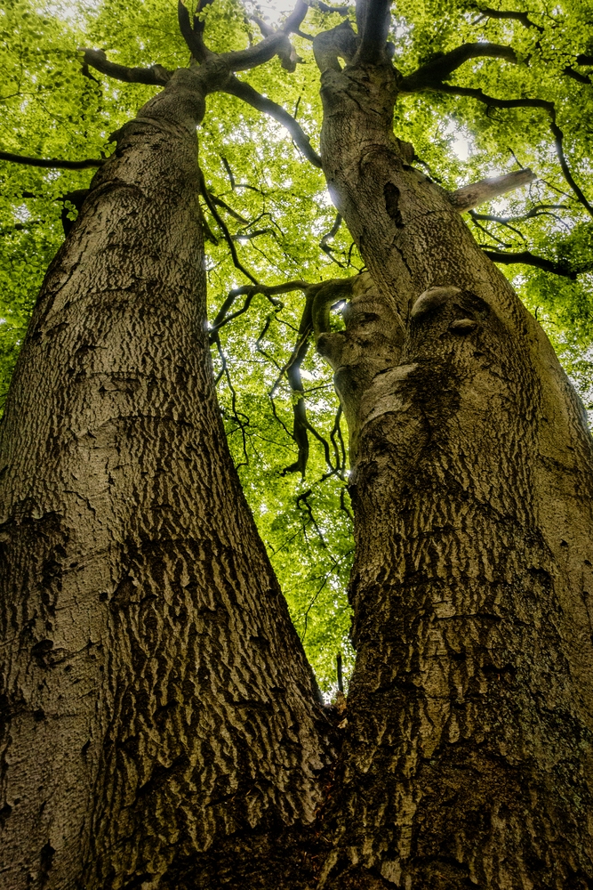 TZ_DSC01508_A.jpg