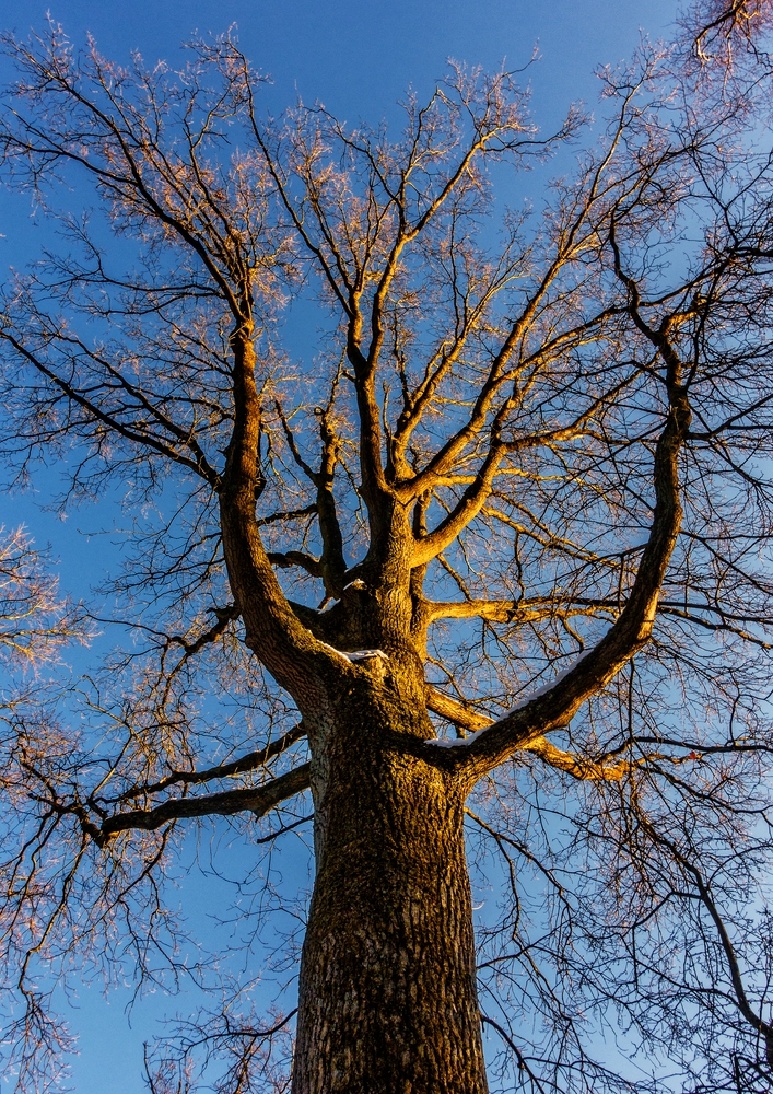 TZ_DSC02635_A.jpg
