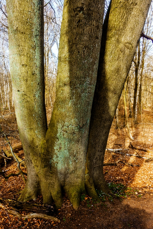 TZ_DSC02694_A.jpg