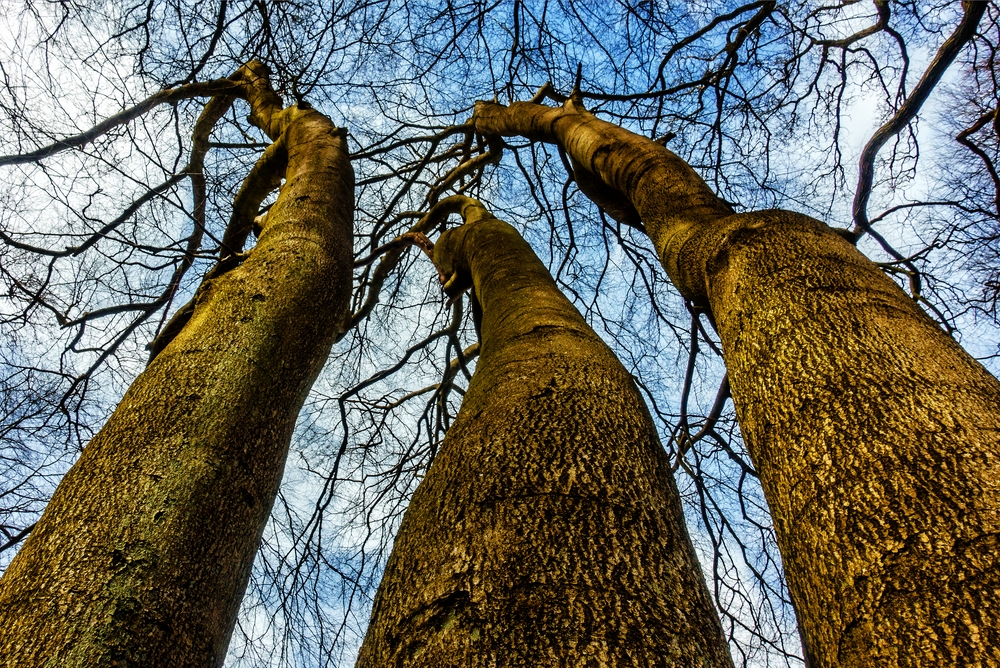 TZ_DSC02695_A.jpg