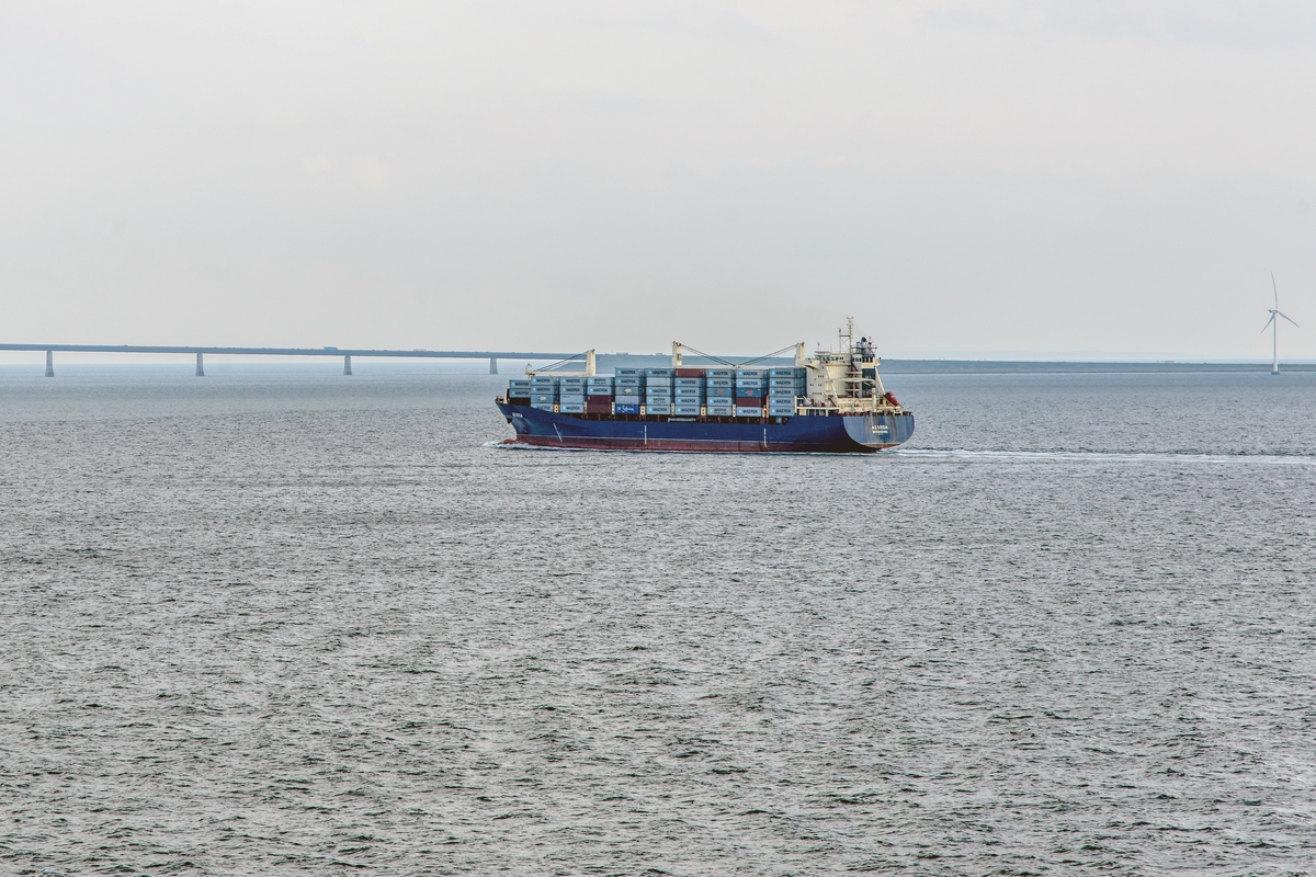 TZ_ZIM_8399.jpg