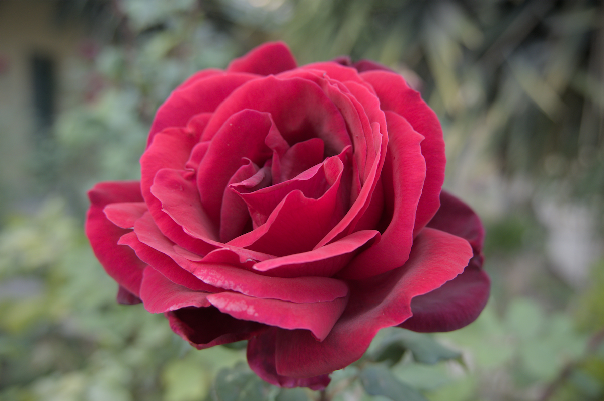 U02_5795-NF.jpg